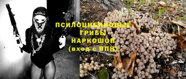PSILOCYBIN Алзамай