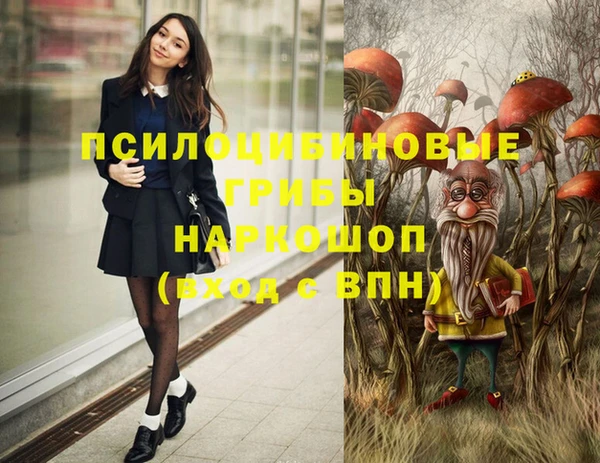 мяу мяу мука Алексеевка