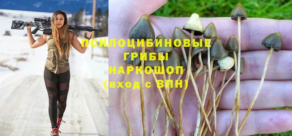 PSILOCYBIN Алзамай