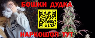прущие крисы Обь