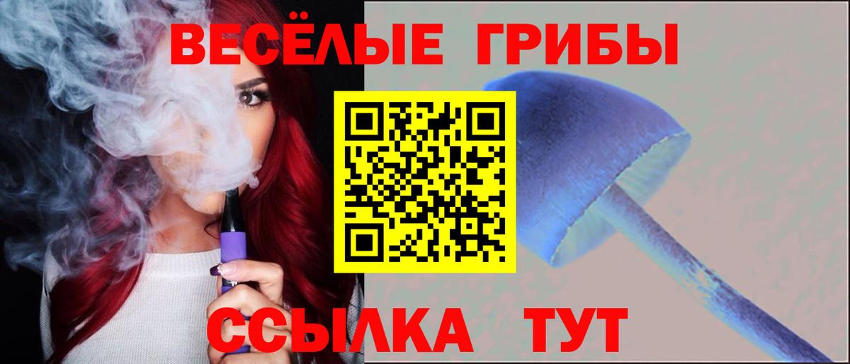 Псилоцибиновые грибы Psilocybe  Псилоцибиновые грибы Psilocybe  Вход с VPN  Чебаркуль 